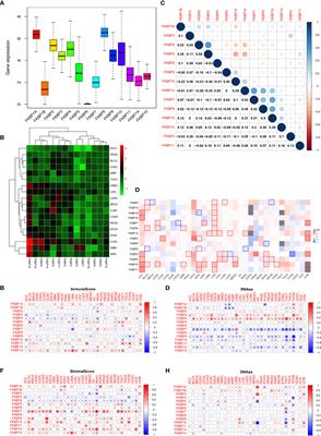 Multi-Omics Analysis of the Expression and Prognosis for FKBP Gene Family in Renal Cancer